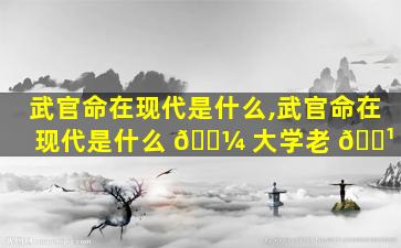 武官命在现代是什么,武官命在现代是什么 🐼 大学老 🌹 师
